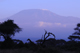Il Parco di Amboseli